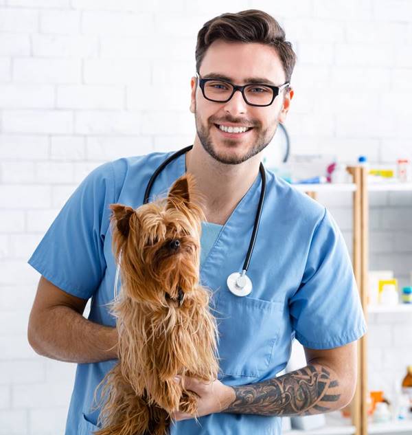 Veterinarian with dog and cat