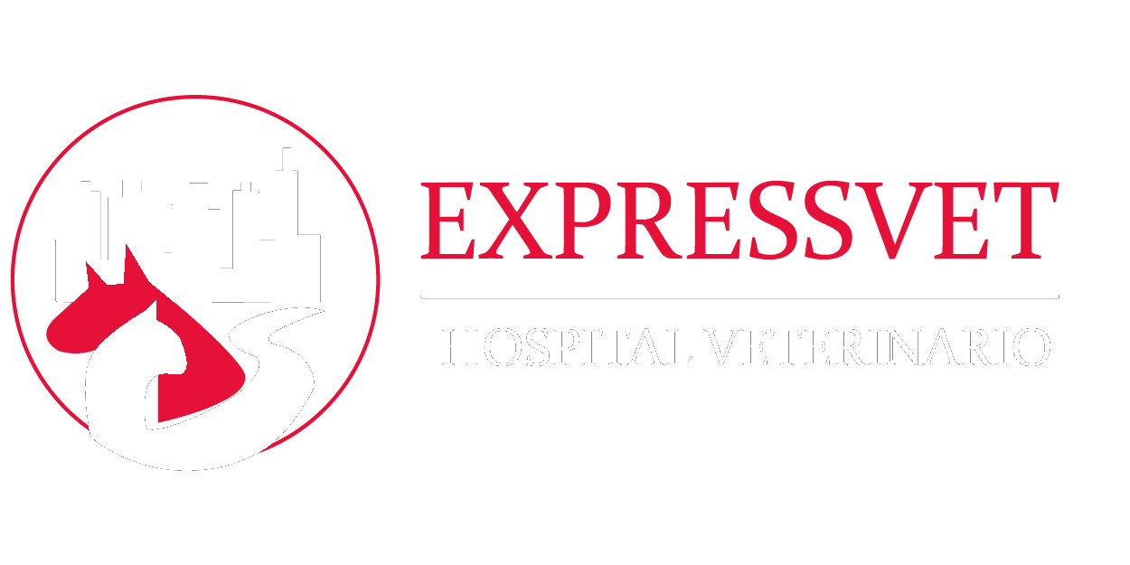 ExpressVet — Hospital Veterinario